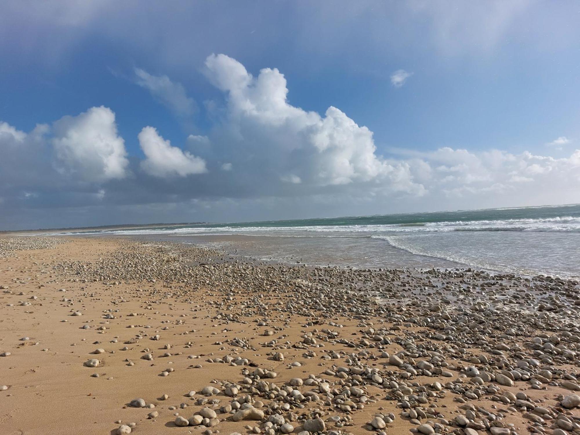 Maison A 8 Min A Pied De La Plage Avec Jardin Clos Et Ombrage Saint-Georges-d'Oleron Exterior photo